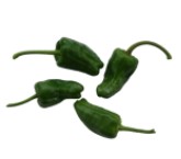 Chilli Pepper ~ Padron (Week 19)