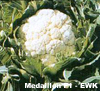 Cauliflower ~ Medaillon F1 (Week 28)