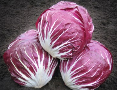 Radicchio ~ Rubro (Week 28)